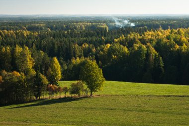 Güzel manzaranın havadan görünüşü