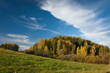 Güzel manzaranın havadan görünüşü
