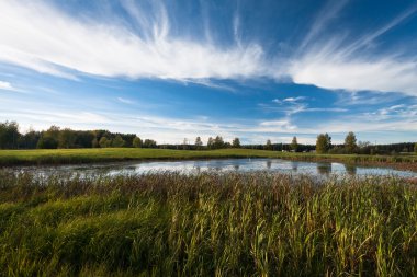 Güzel manzaranın havadan görünüşü