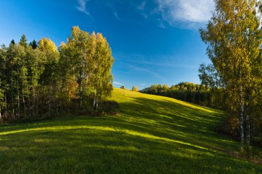 Güzel manzaranın havadan görünüşü