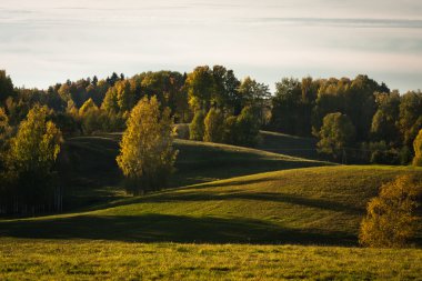 Güzel manzaranın havadan görünüşü