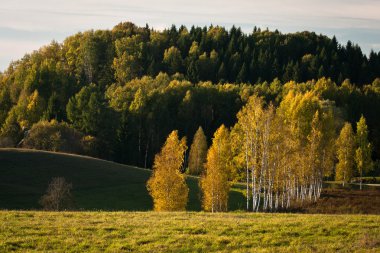 Güzel manzaranın havadan görünüşü
