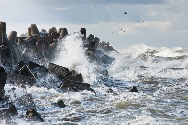 Wave breakers on sea coast