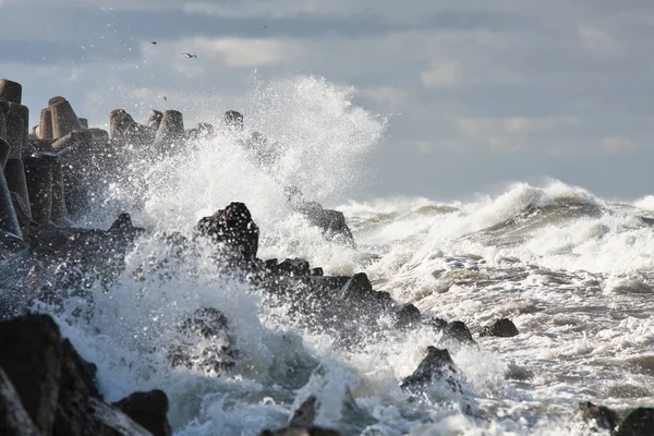 Wave breakers on sea coast