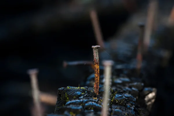 暗い背景にフェンスで錆びた釘 — ストック写真