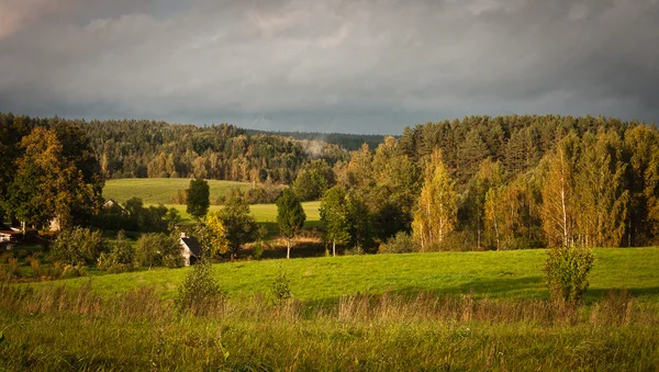 Güzel manzaranın havadan görünüşü