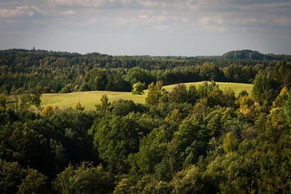 Beautiful Landscape Sunny Day Stock Photo