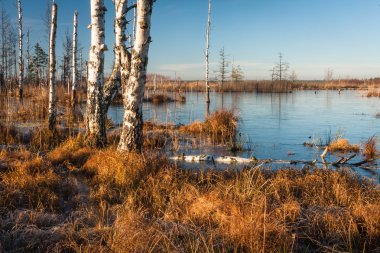 Gündüzleri güzel kuzey manzarası