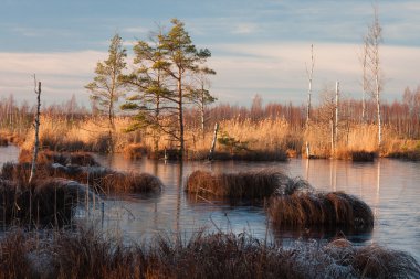 Gündüzleri güzel kuzey manzarası