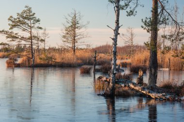 Gündüzleri güzel kuzey manzarası