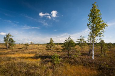 Güneşli bir günde güzel kuzey manzarası