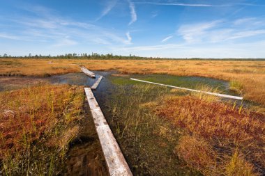 Güneşli bir günde güzel kuzey manzarası