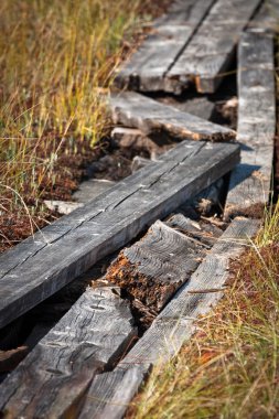 Güneşli bir günde güzel kuzey manzarası