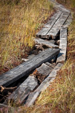 Güneşli bir günde güzel kuzey manzarası