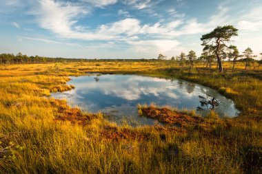 Güneşli bir günde güzel kuzey manzarası