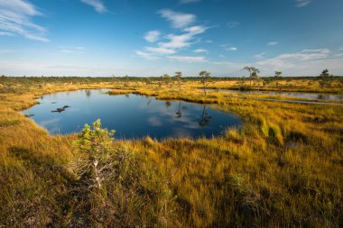 Güneşli bir günde güzel kuzey manzarası