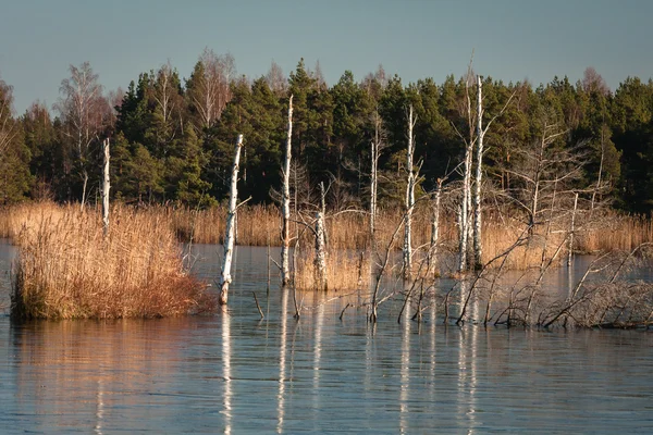 Vackert Nordligt Landskap Dagen — Stockfoto