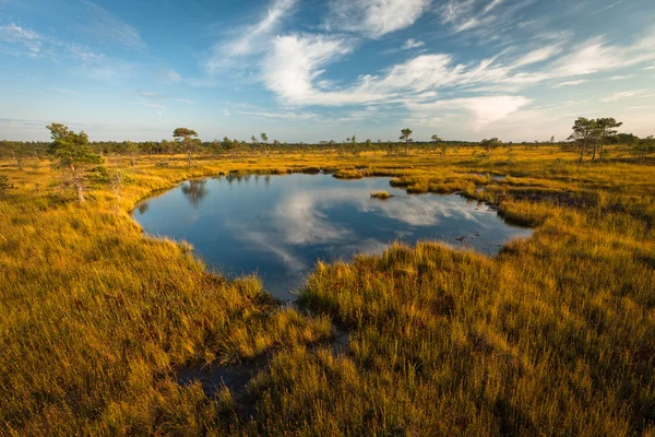 Beautiful North Landscape Sunny Day — 스톡 사진