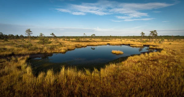 Hermoso Paisaje Del Norte Día Soleado — Foto de Stock