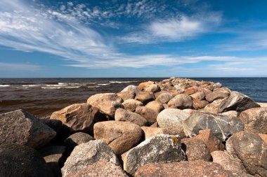 Kış mevsiminde ağaçların manzarası
