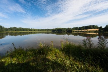 Kış mevsiminde ağaçların manzarası