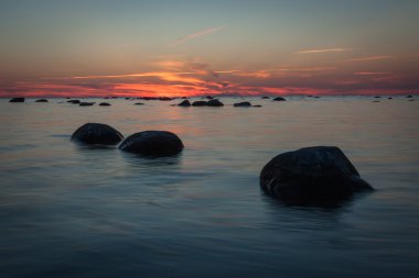 Kış mevsiminde ağaçların manzarası