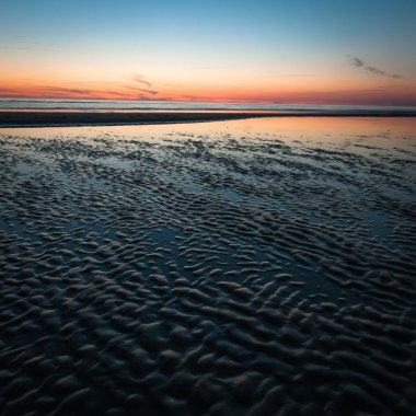 Kış mevsiminde ağaçların manzarası