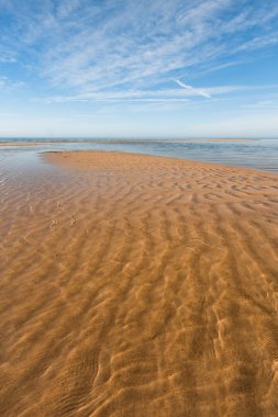 Kış mevsiminde ağaçların manzarası