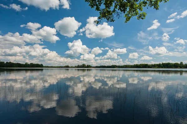 Kış mevsiminde ağaçların manzarası