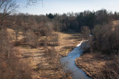 Kış mevsiminde ağaçların manzarası