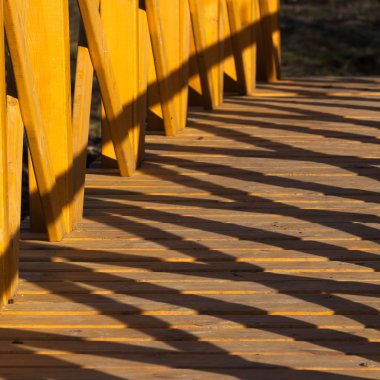 Kış mevsiminde ağaçların manzarası