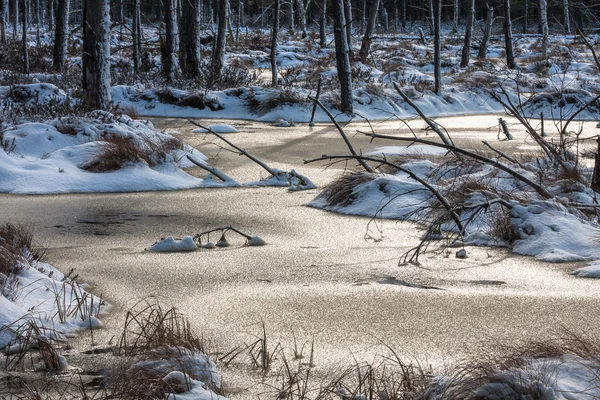 Kış Mevsiminde Ağaçların Manzarası — Stok fotoğraf