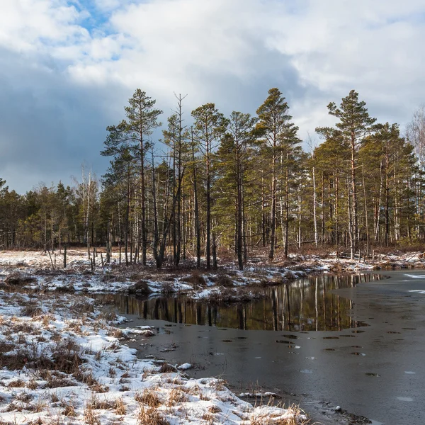 Beautiful North Landscape Winter Day — Stock Photo, Image