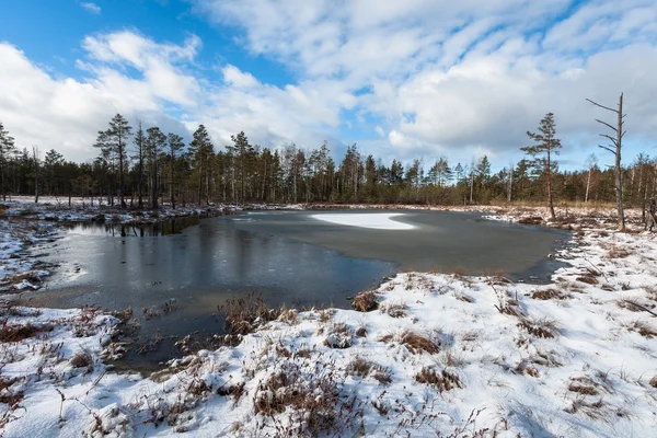Güzel kuzey manzarası Kış günü