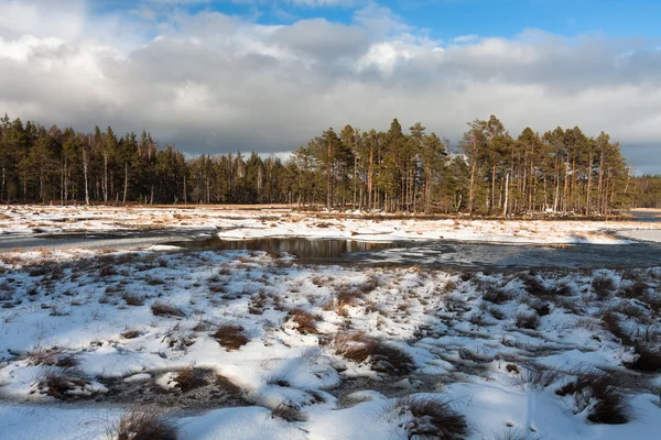 Vackert Nordligt Landskap Vinterdagen — Stockfoto