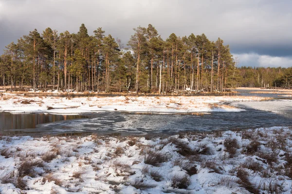 Beautiful North Landscape Winter Day — Stock Photo, Image