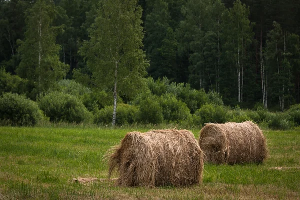 Hay Bales Green Meadow — Stock Photo, Image