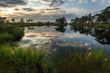 Avrupa 'nın güzel kuzey manzarası