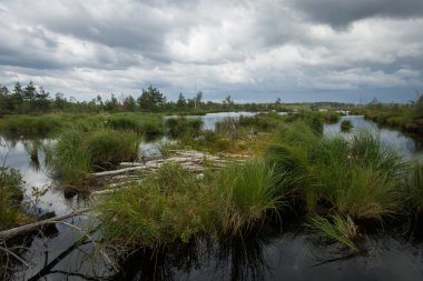 Nehrin dağlardaki manzarası