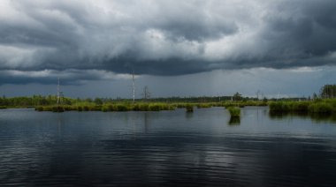 Mangrove Ormanı ve şehri şafakta