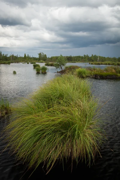 Landskap Med Flod Och Moln — Stockfoto