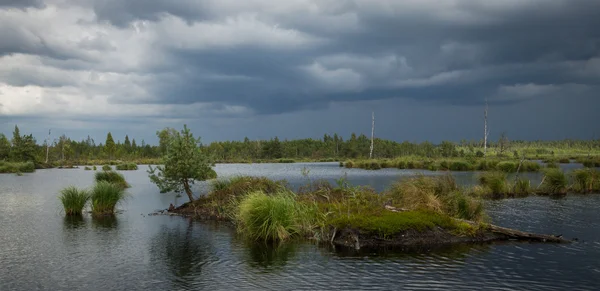 Utsikt Över Floden Saone Nära Staden Macon Frankrike — Stockfoto