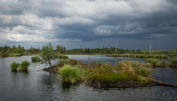 Vackert Nordligt Landskap Europa — Stockfoto