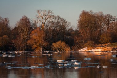 sonbahar parkında yansıması.