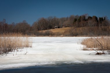 Sazlık donmuş bir gölün üzerinde