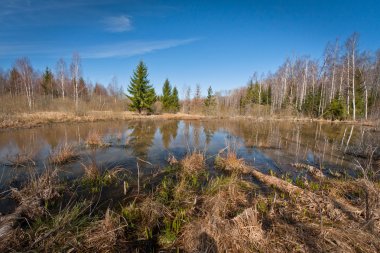 nehrin güzel manzara.
