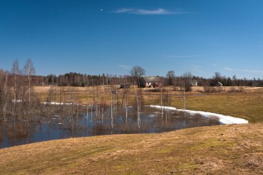 Bahar orman yansımalar 