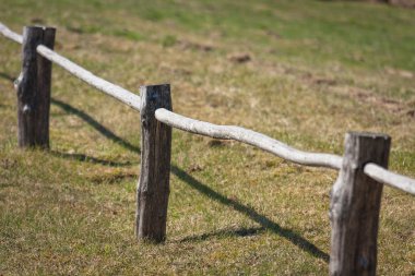 Parktaki eski çitler.