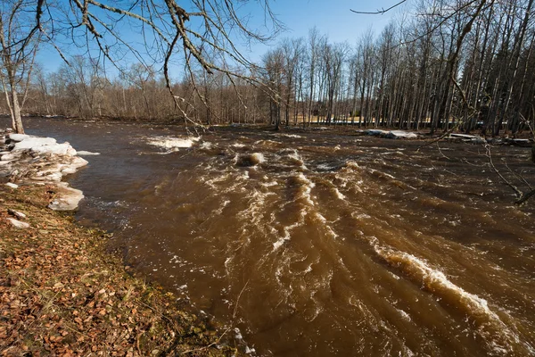 Flooding in spring — стоковое фото