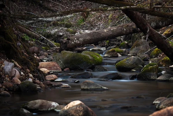 Un pequeño río con piedras —  Fotos de Stock